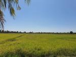 ท่องเที่ยวเชิงเกษตรใน อบต.บางเตย